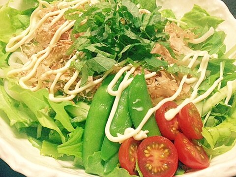 野菜たっぷり☆簡単ヘルシーサラダうどん☆